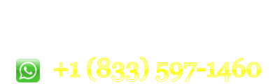 India E-Visa Agents USA OCI Agency Indian Passport Renewals